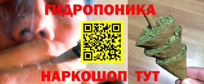 ECSTASY Камышлов