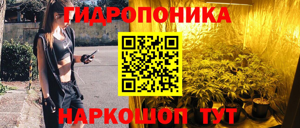Каннабис Кстово